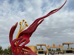 -金塔沙漠胡杨林景区