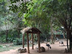 -深圳野生动物园
