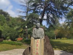 -桂湖森林公园
