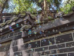 -老君山