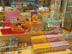 -猫的天空之城概念书店(丽江古城饮玉巷店)