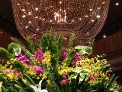 iphone_upload_pic-深圳阳光酒店