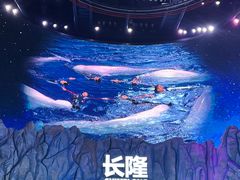 -珠海长隆海洋王国