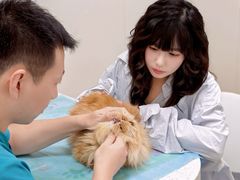 -美联众合爱康动物医院•复杂内科•肿瘤科•牙科•腔镜诊疗中心