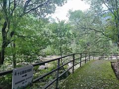 -增城大丰门漂流