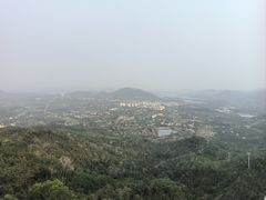 -呀诺达热带雨林