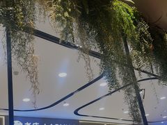 -凯德MALL(望京店)