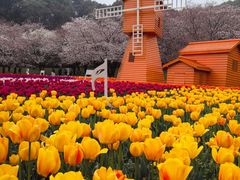 -苏州上方山国家森林公园