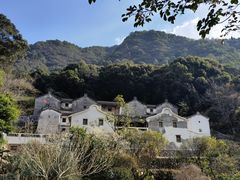 -雁南飞茶田景区