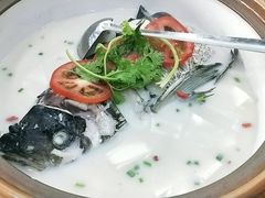 -全乐鱼馆·淳牌有机鱼直营店