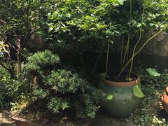 -院子餐厅·大锅菜·老杭帮(桥西直街店)