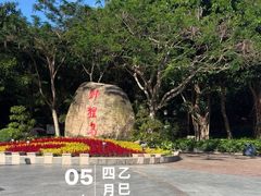 -野狸岛