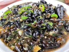 和味山坑螺-天强农家菜馆