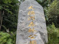-普洱太阳河森林公园