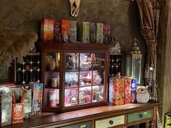 -雪灵魔法世界SHELLY’S TAROT(大良桂畔里店)