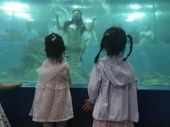 -苏州海洋馆