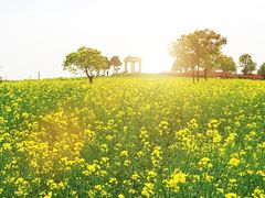 景点-上海都市菜园