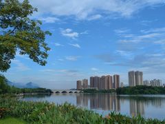 -飞来湖湿地公园