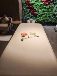 -VELEE·SPA高定疗愈会所