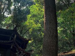 -青城山
