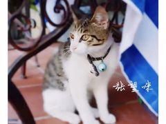 -鼓浪屿幸福天空花园餐厅