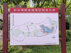 -重庆彩云湖湿地公园
