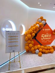 -G-SAGA形象设计