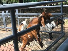 -长白岛森林公园