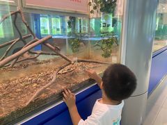 -上海昆虫博物馆