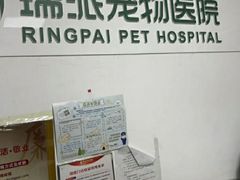 -瑞派天宁宠物医院·猫科·异宠中心