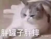 -丽华园(青少年宫店)