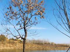 -东郊湿地公园