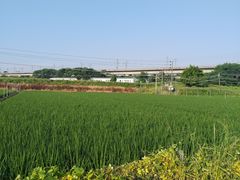 -光明小镇欢乐田园