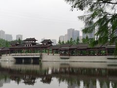-重庆彩云湖湿地公园