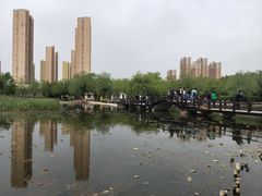 -前关湿地公园