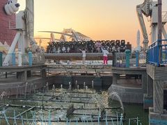 -大连海昌发现王国主题公园