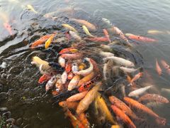 -珠海圆明新园