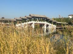 -西海子公园