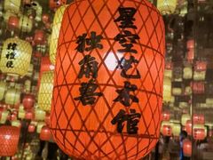-深圳独角兽星空艺术馆