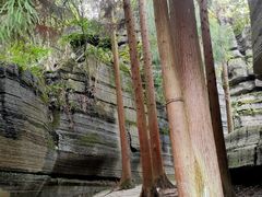 -梭布垭石林景区