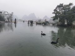 -靖西鹅泉风景区