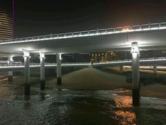 -演武大桥观景平台