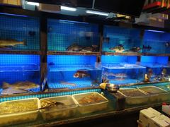 水产区-毓聪妈妈菜(合肥路店)