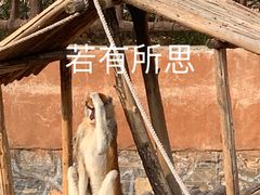 -济南野生动物世界