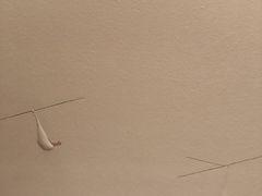 -王府半岛酒店