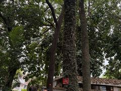-广州市紫泥堂文化创意园景区