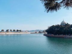 -莫内艺术岛海景咖啡