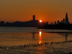-深圳湾公园(南山区)