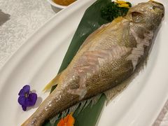 -红棉中餐厅·广州海航威斯汀酒店