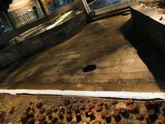 -元代水闸遗址博物馆
